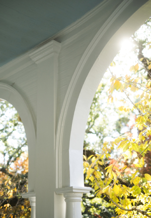 Enhance Your Home's Charm with Arched Porch Screens